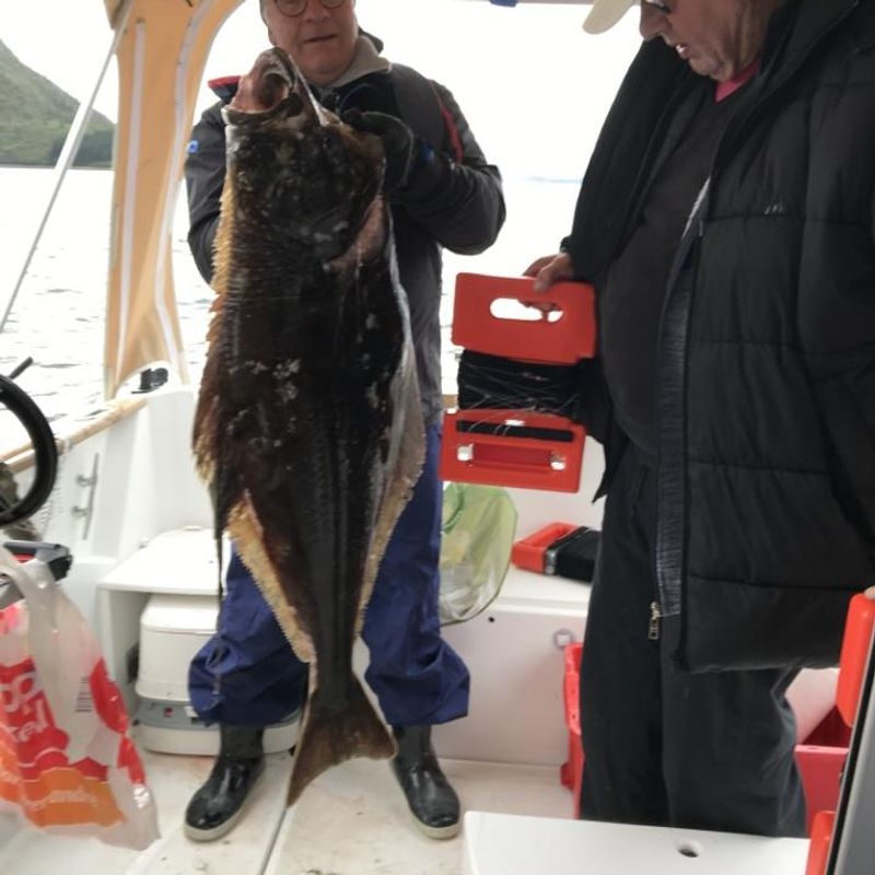 Autosett Ekstrem / för vev