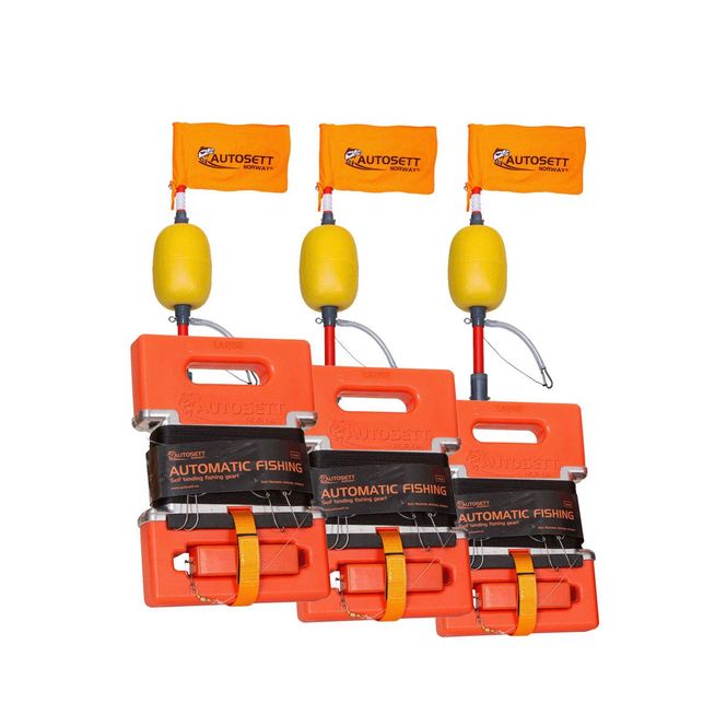 Main Image  3 kpl Autosett Extreme lipunpoijuilla