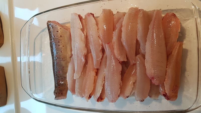  2 kpl taimensiima, 12 koukkua